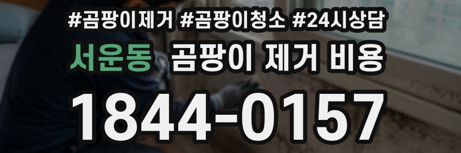 서운동 곰팡이 제거 비용