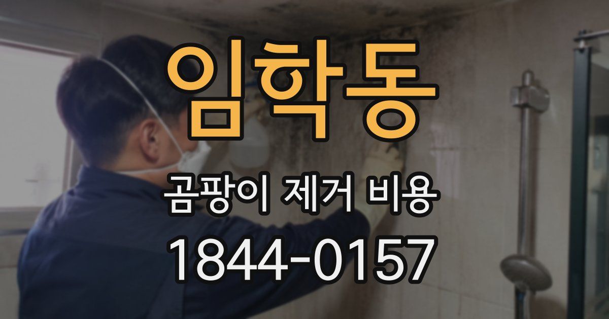 임학동 곰팡이 제거 비용