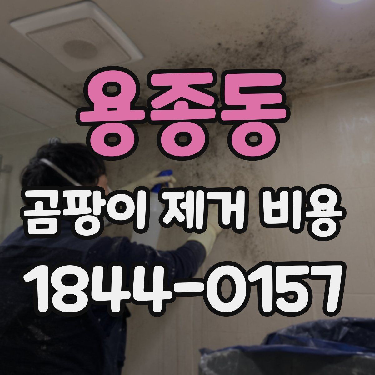 용종동 곰팡이 제거 비용 천장과 몰딩이 함께 오염됐을 때