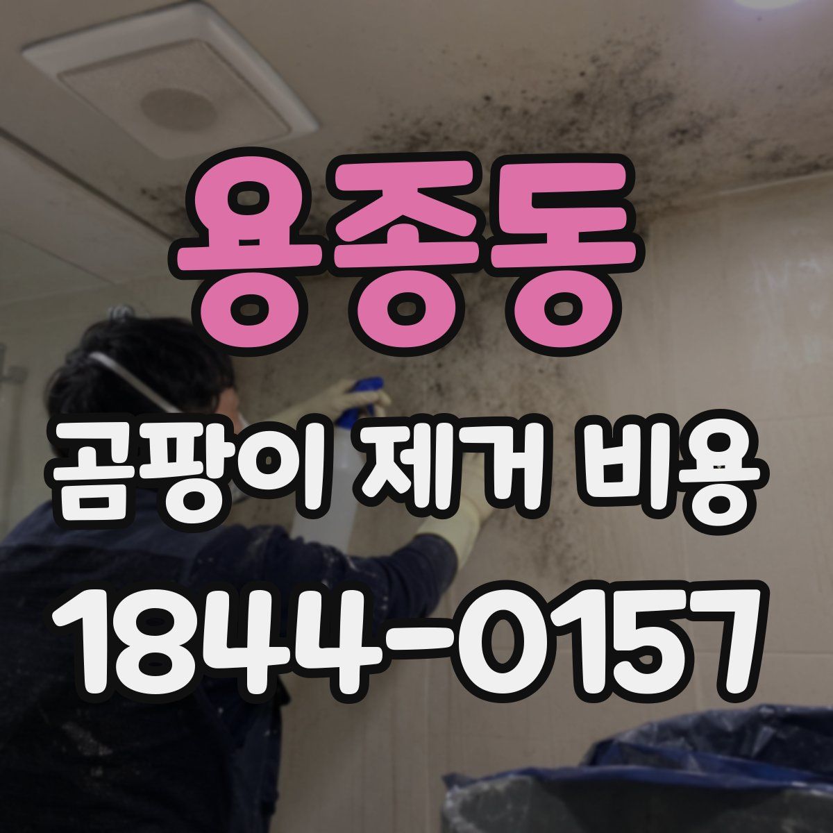 용종동 곰팡이 제거 비용