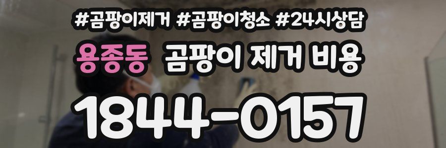 용종동 곰팡이 제거 비용
