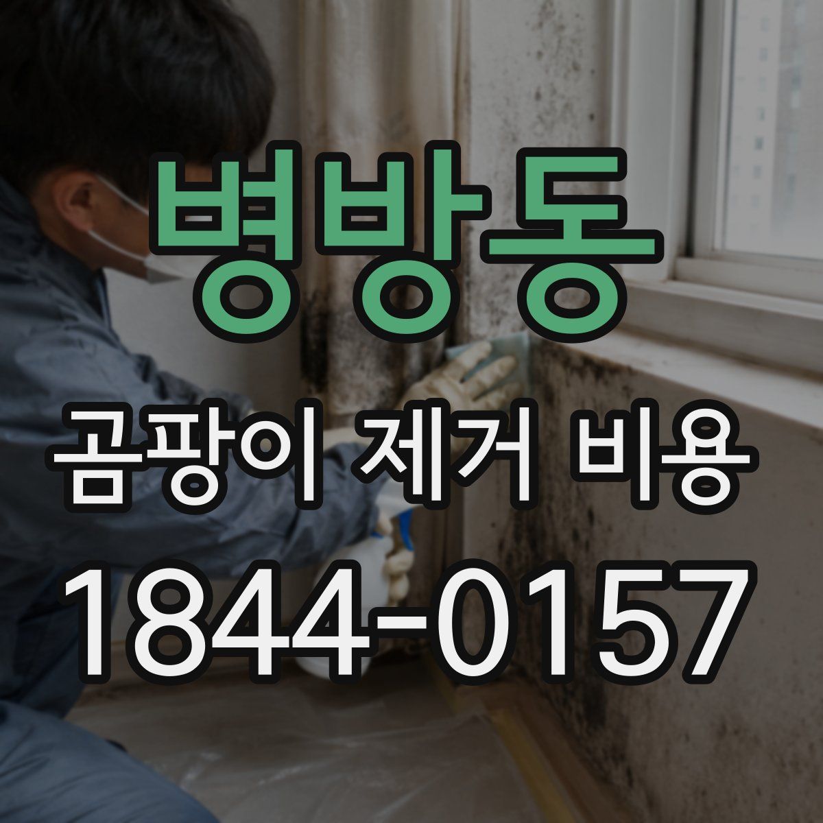 병방동 곰팡이 제거 비용