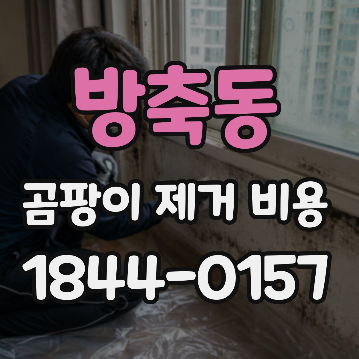 방축동 곰팡이 제거 비용