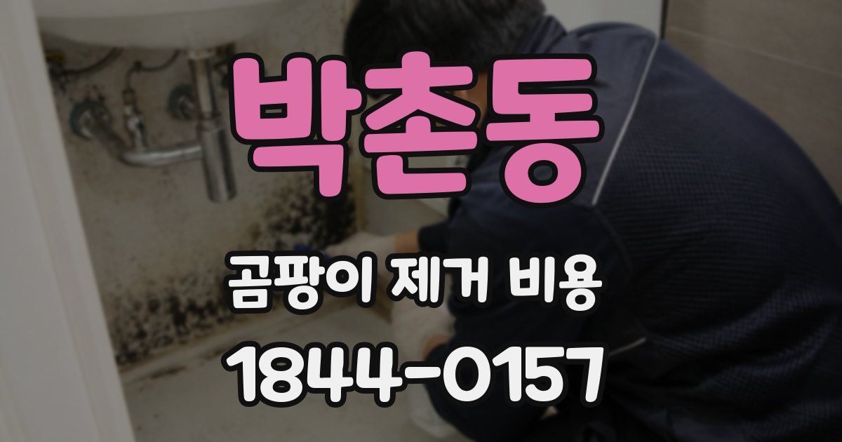 박촌동 곰팡이 제거 비용