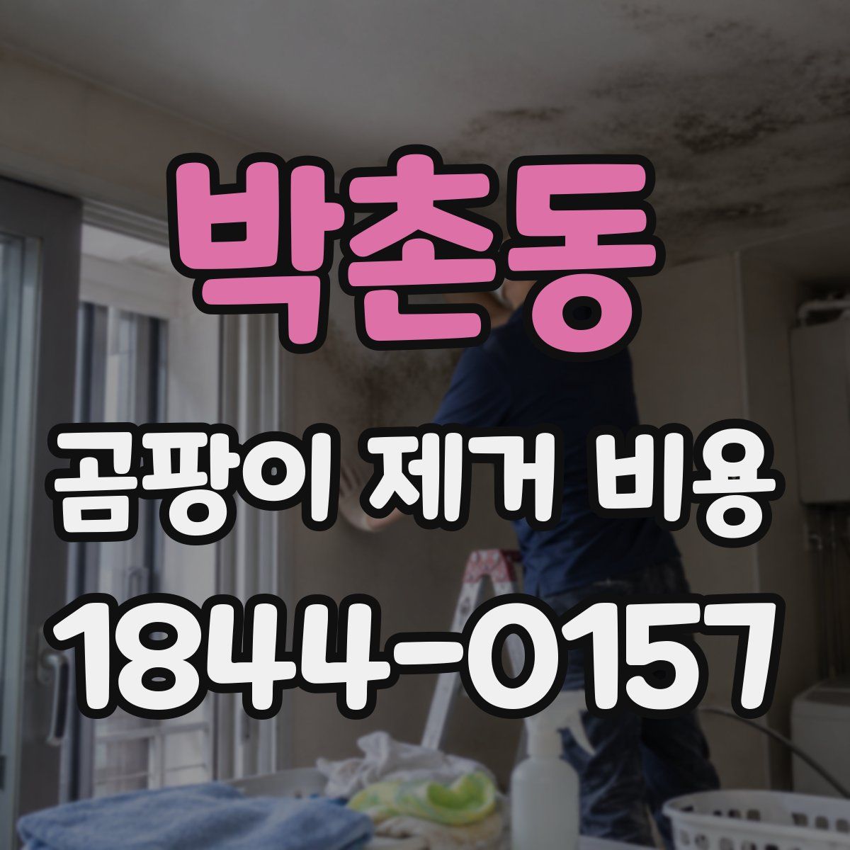박촌동 곰팡이 제거 비용