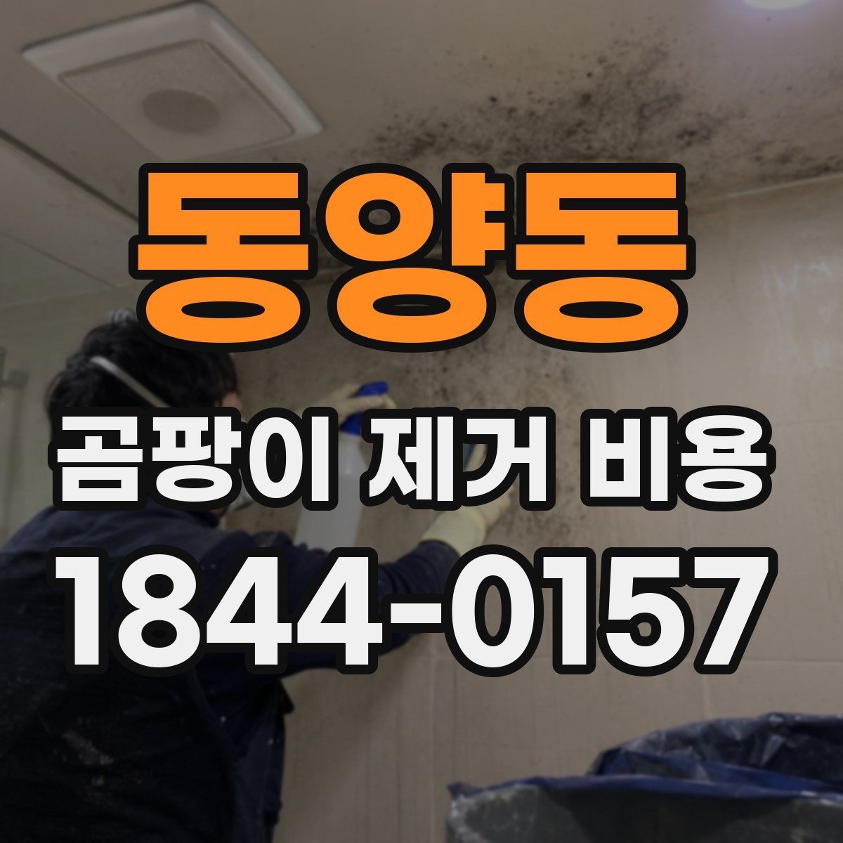 동양동 곰팡이 제거 비용 부분 보수와 전체 보수의 차이 정리