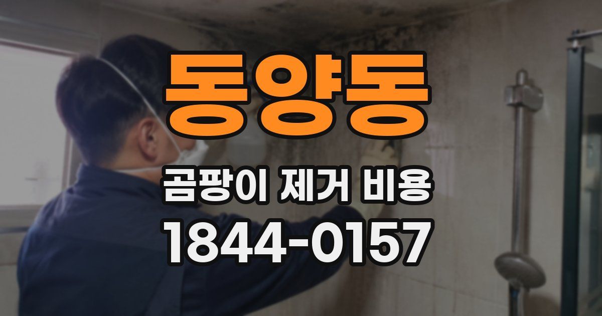 동양동 곰팡이 제거 비용