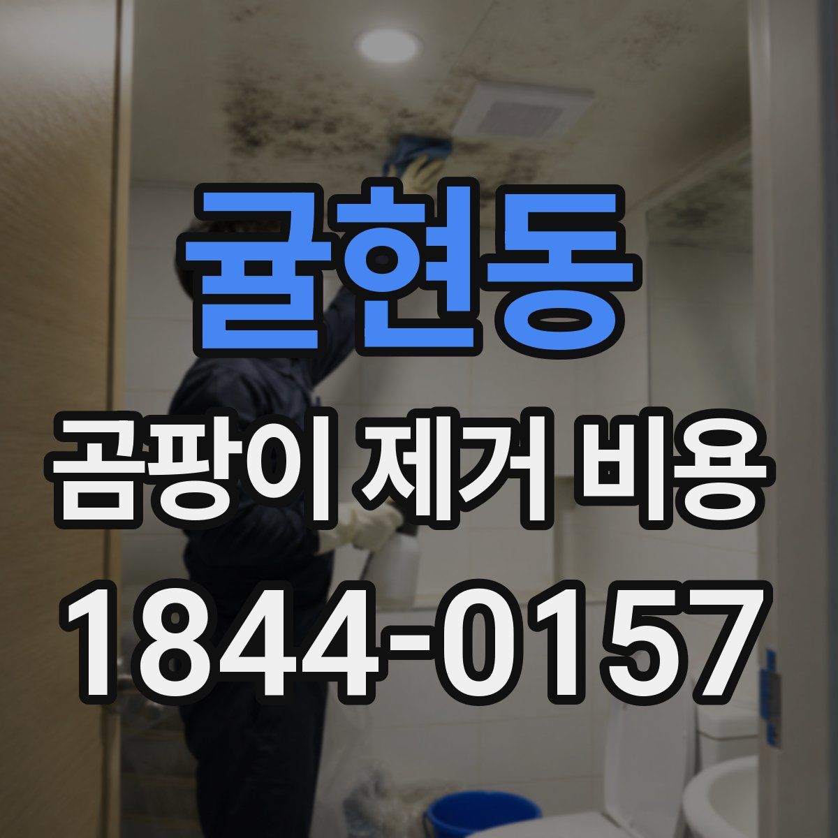 귤현동 곰팡이 제거 비용