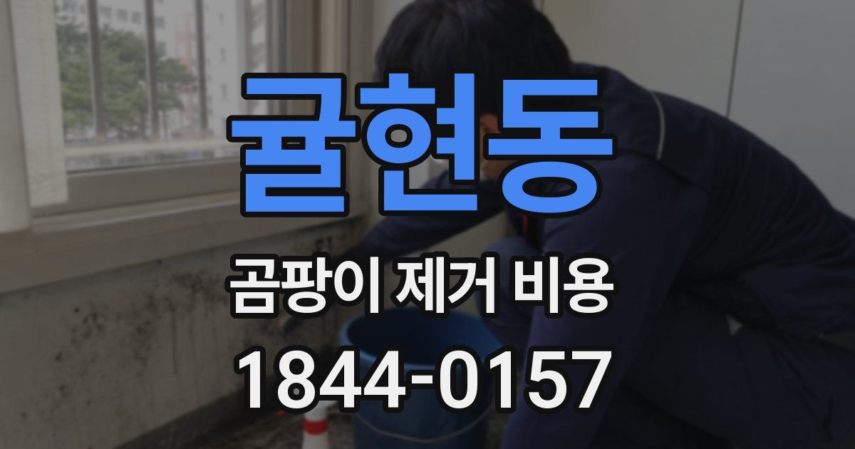 귤현동 곰팡이 제거 비용