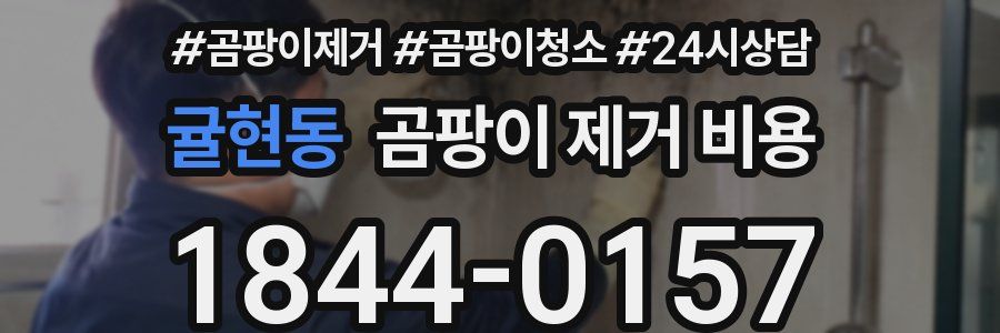 귤현동 곰팡이 제거 비용