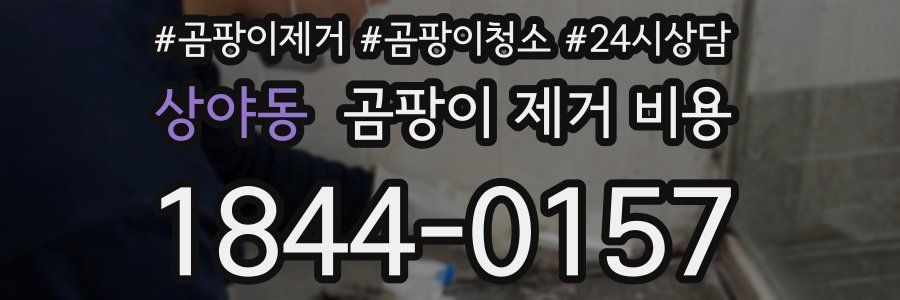 상야동 곰팡이 제거 비용