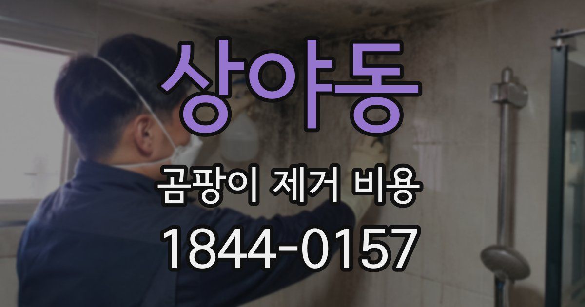 상야동 곰팡이 제거 비용