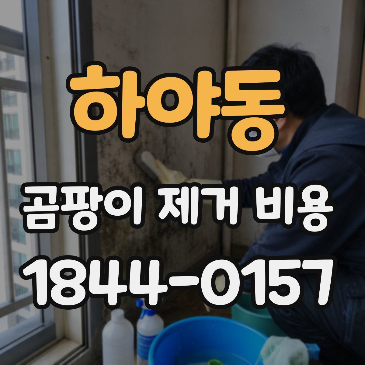 하야동 곰팡이 제거 비용