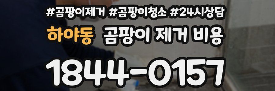 하야동 곰팡이 제거 비용