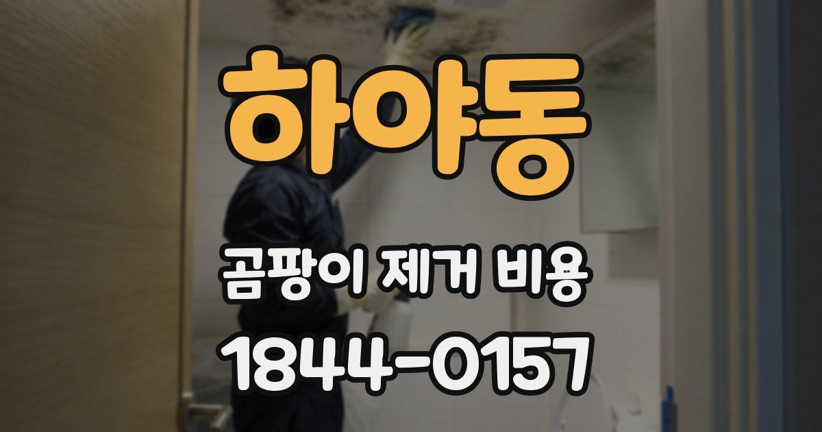 하야동 곰팡이 제거 비용