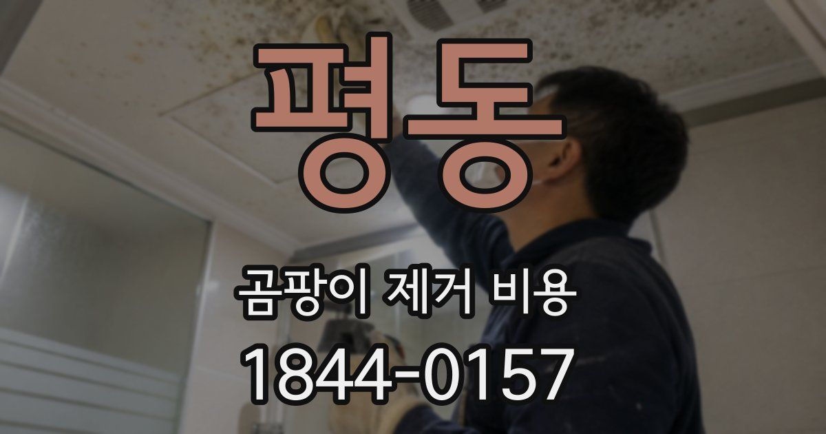 평동 곰팡이 제거 비용