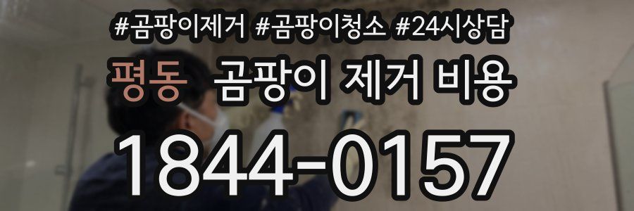 평동 곰팡이 제거 비용