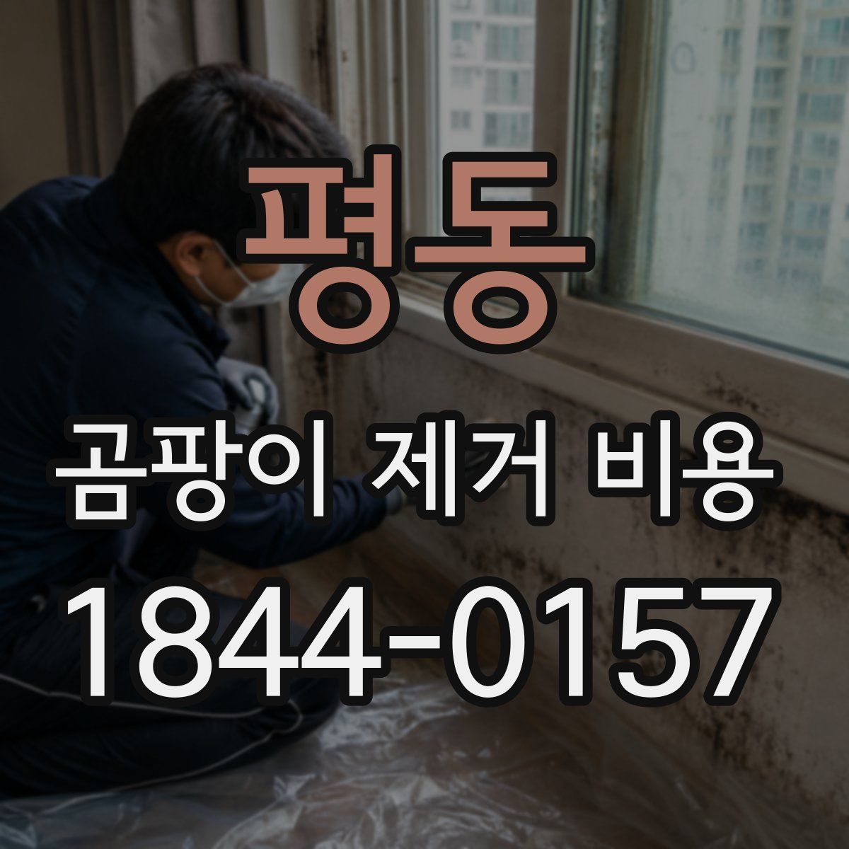 평동 곰팡이 제거 비용
