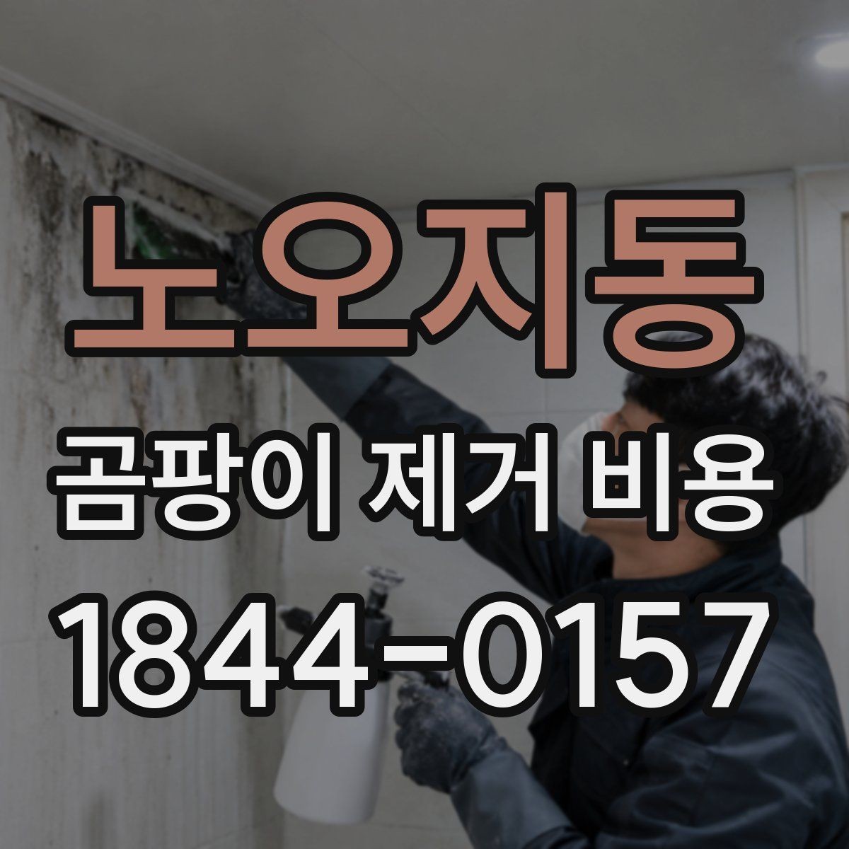 노오지동 곰팡이 제거 비용 냄새와 얼룩을 함께 잡는 처리 범위