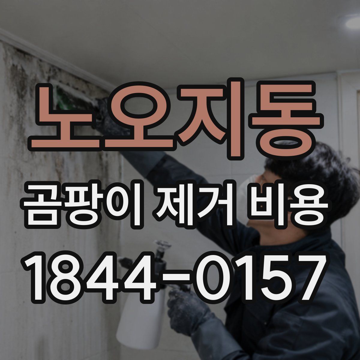 노오지동 곰팡이 제거 비용