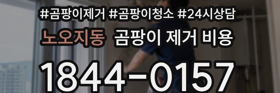노오지동 곰팡이 제거 비용