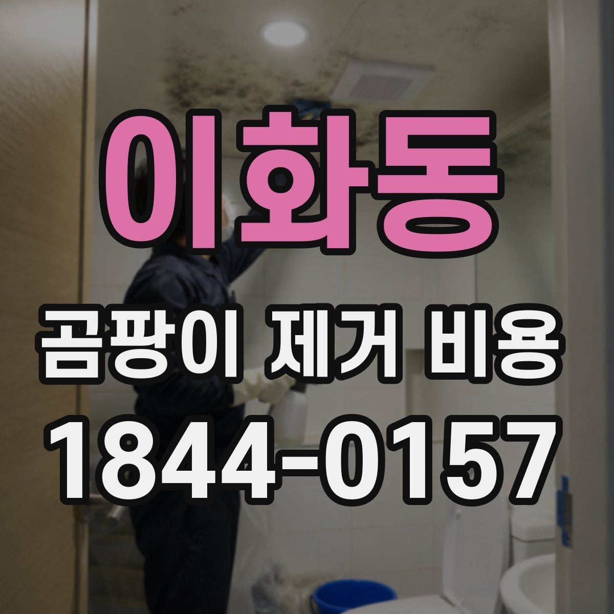 이화동 곰팡이 제거 비용 누수 원인 수리와 함께 볼 때의 차이