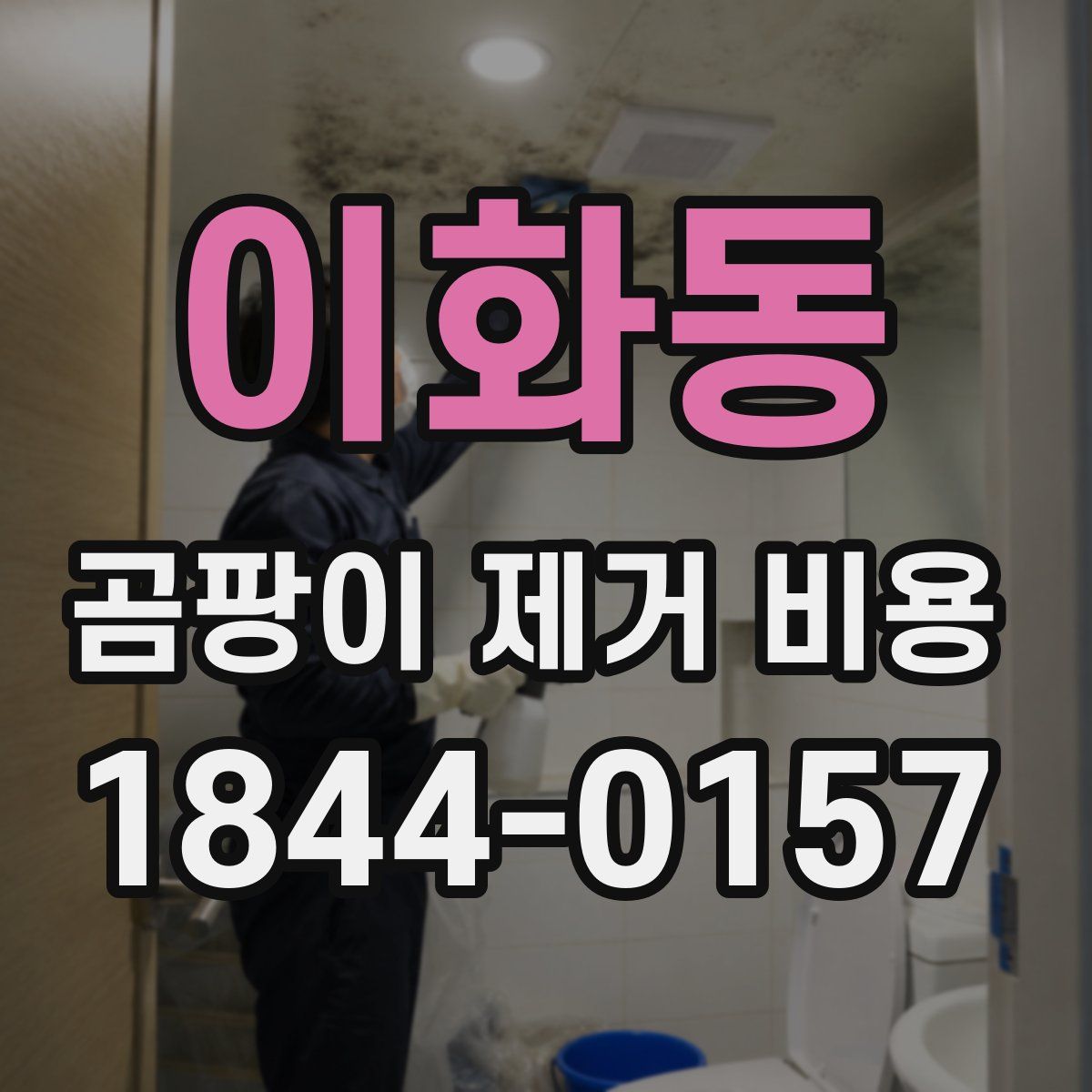이화동 곰팡이 제거 비용