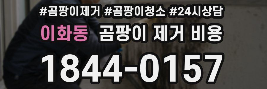 이화동 곰팡이 제거 비용