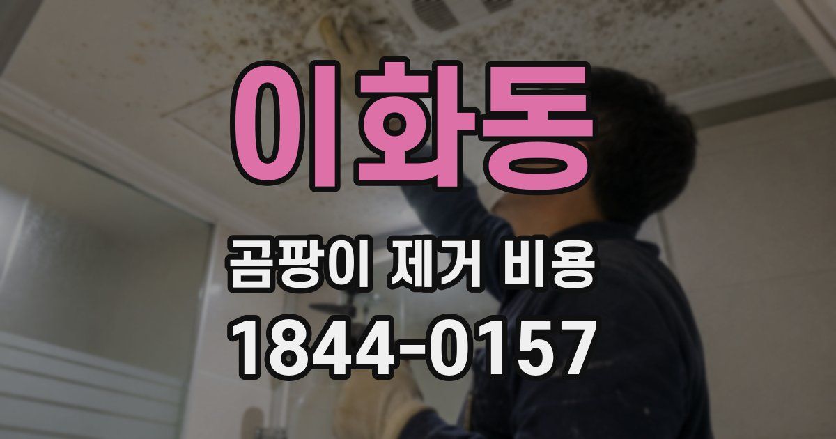 이화동 곰팡이 제거 비용
