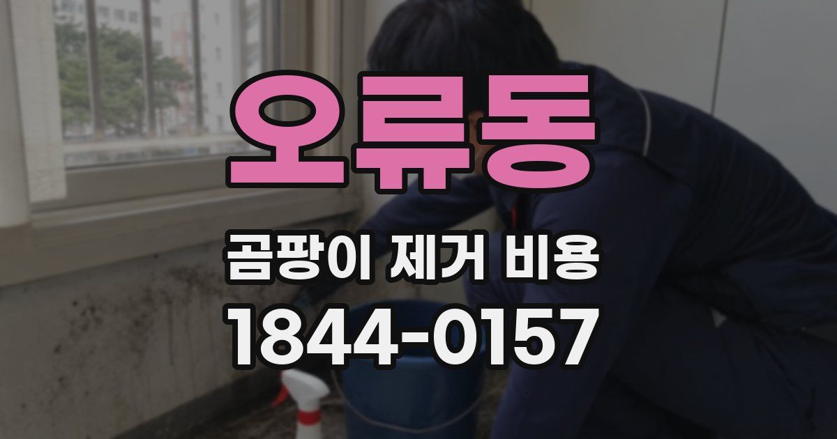오류동 곰팡이 제거 비용