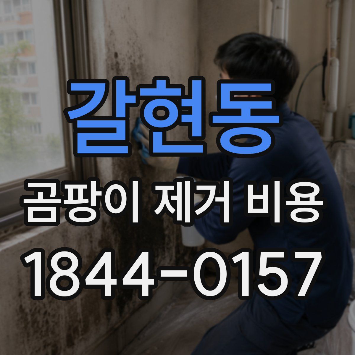 갈현동 곰팡이 제거 비용