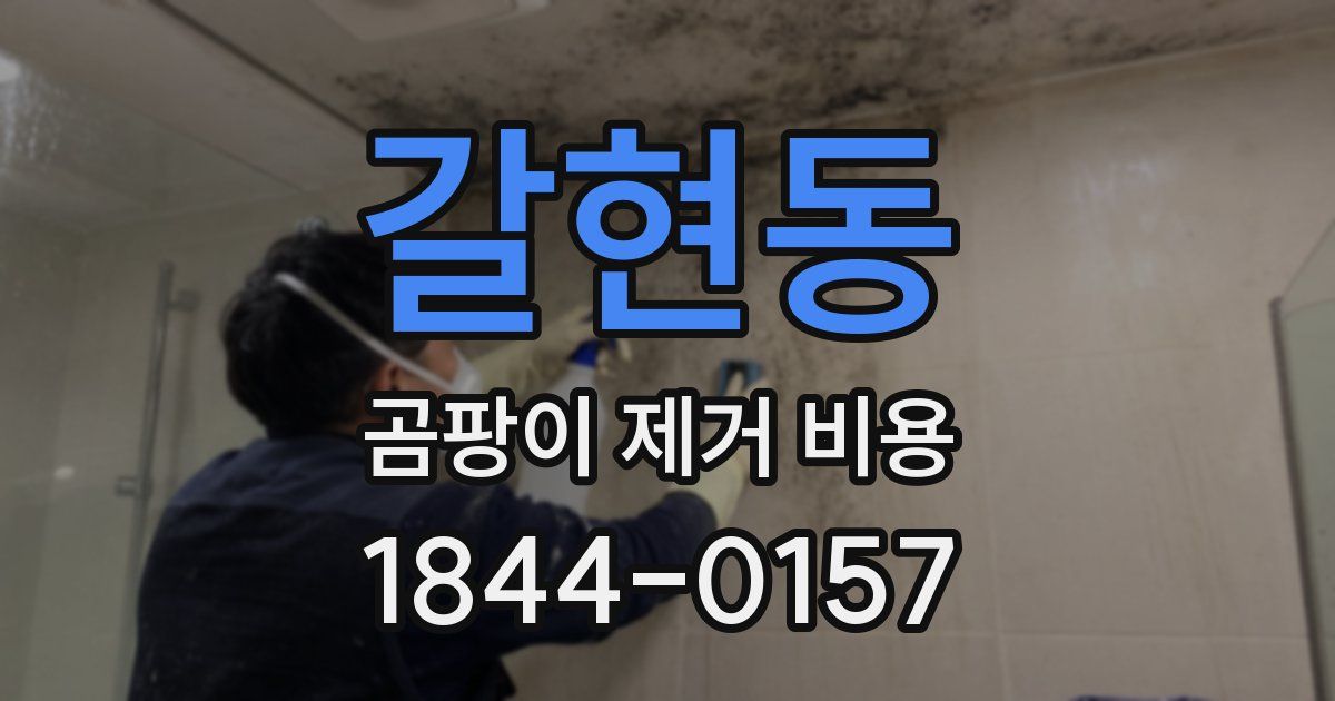 갈현동 곰팡이 제거 비용