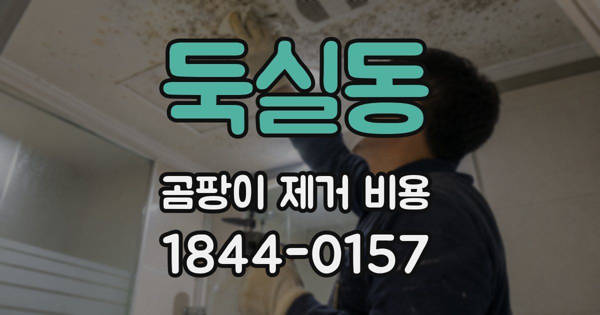 둑실동 곰팡이 제거 비용