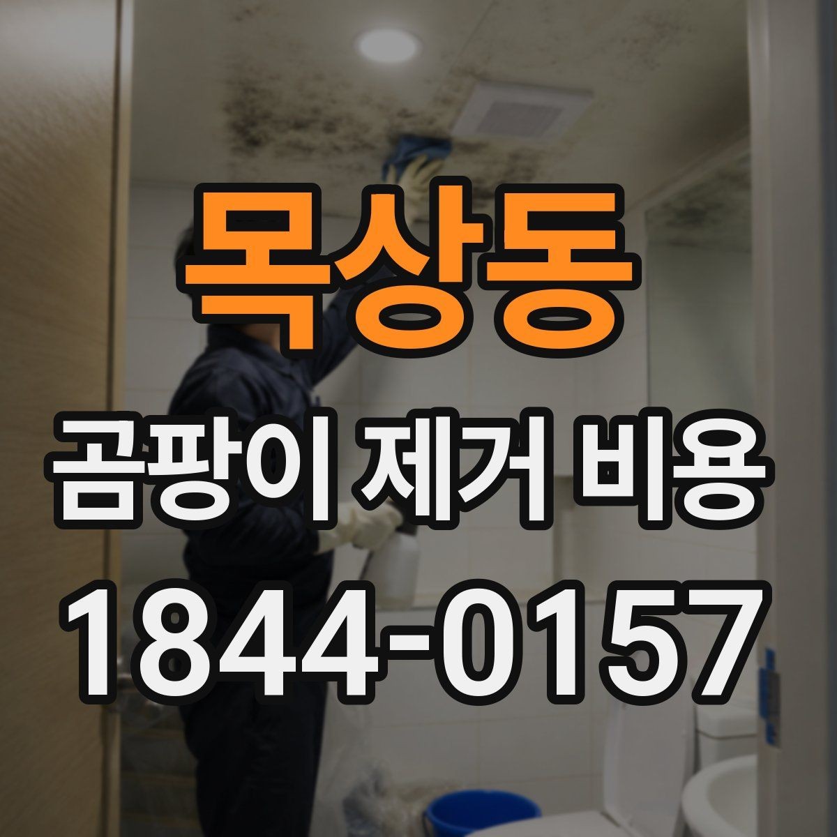 목상동 곰팡이 제거 비용 단열 보수까지 포함되는 경우
