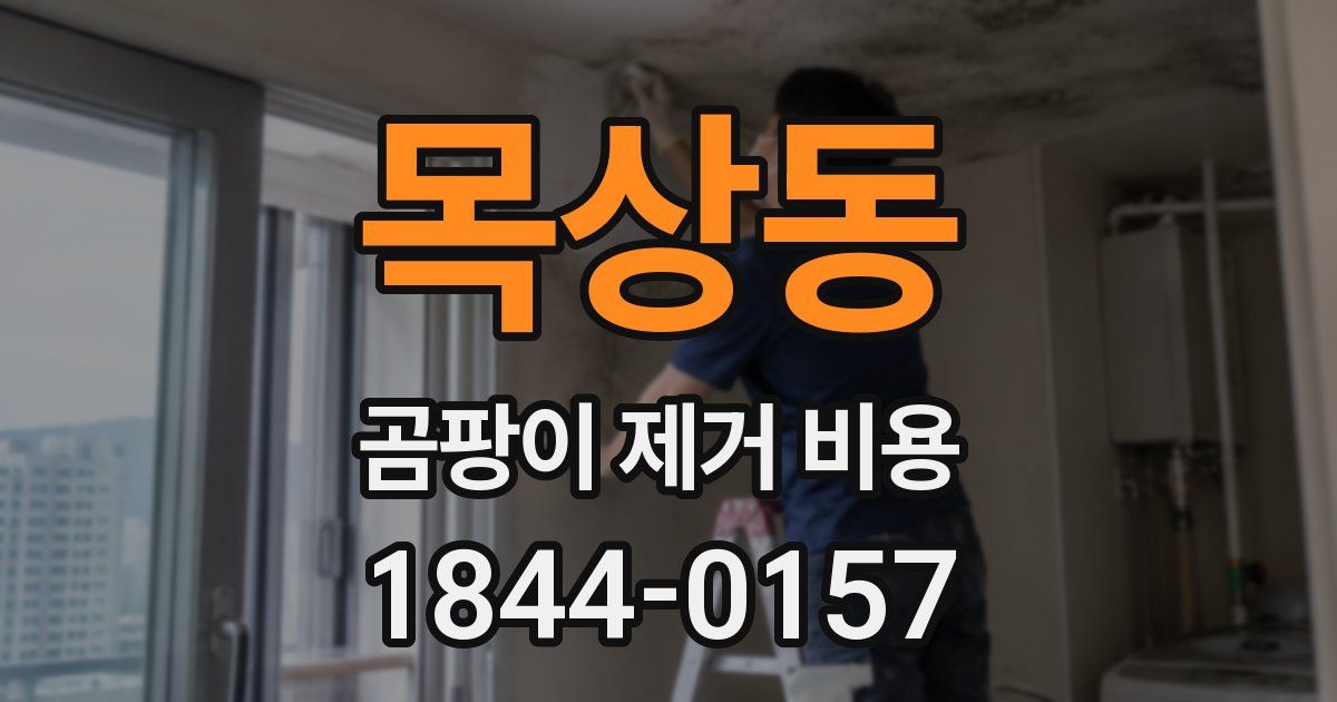 목상동 곰팡이 제거 비용