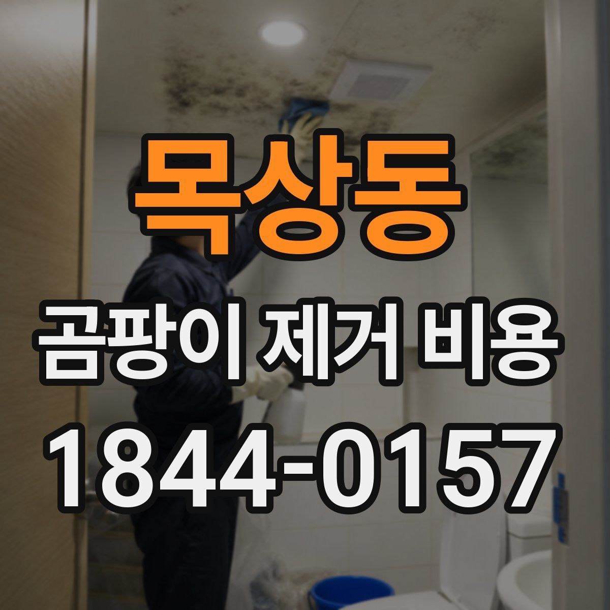 목상동 곰팡이 제거 비용