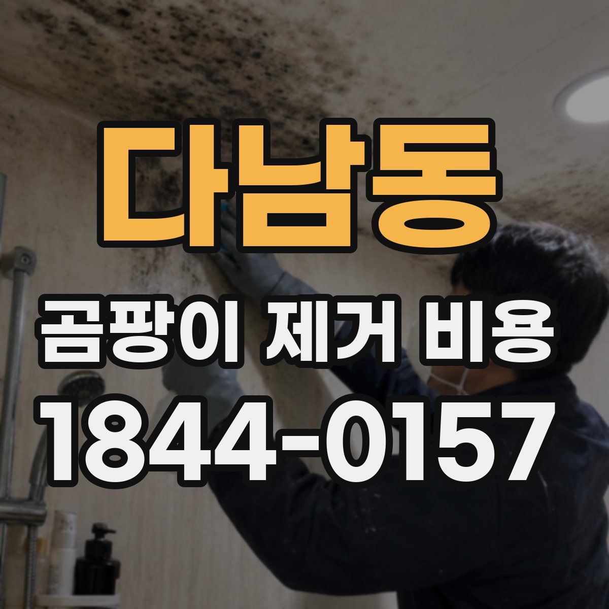 다남동 곰팡이 제거 비용