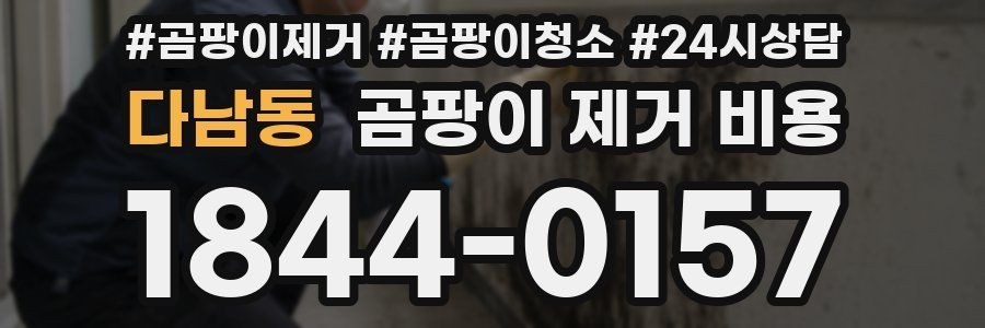 다남동 곰팡이 제거 비용