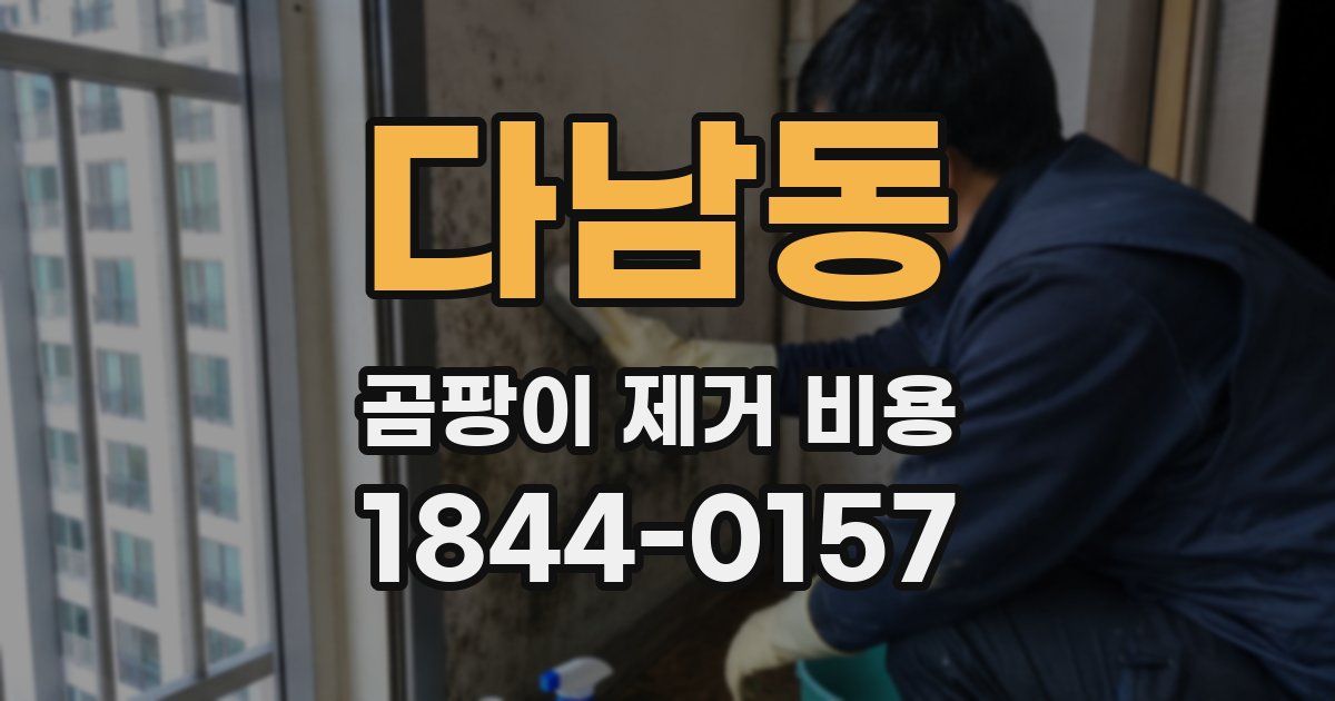 다남동 곰팡이 제거 비용