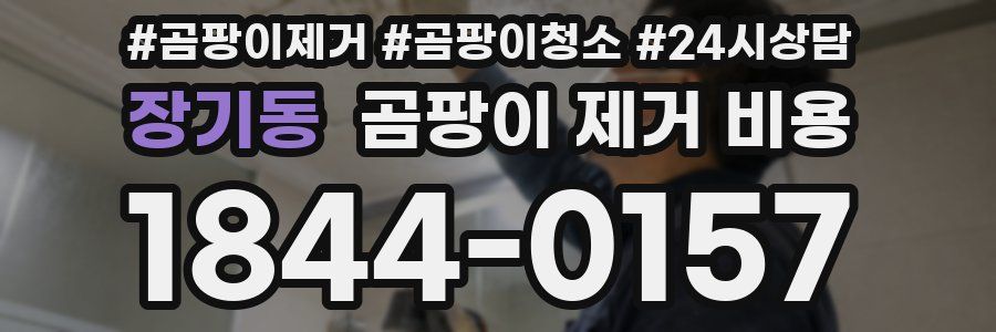 장기동 곰팡이 제거 비용