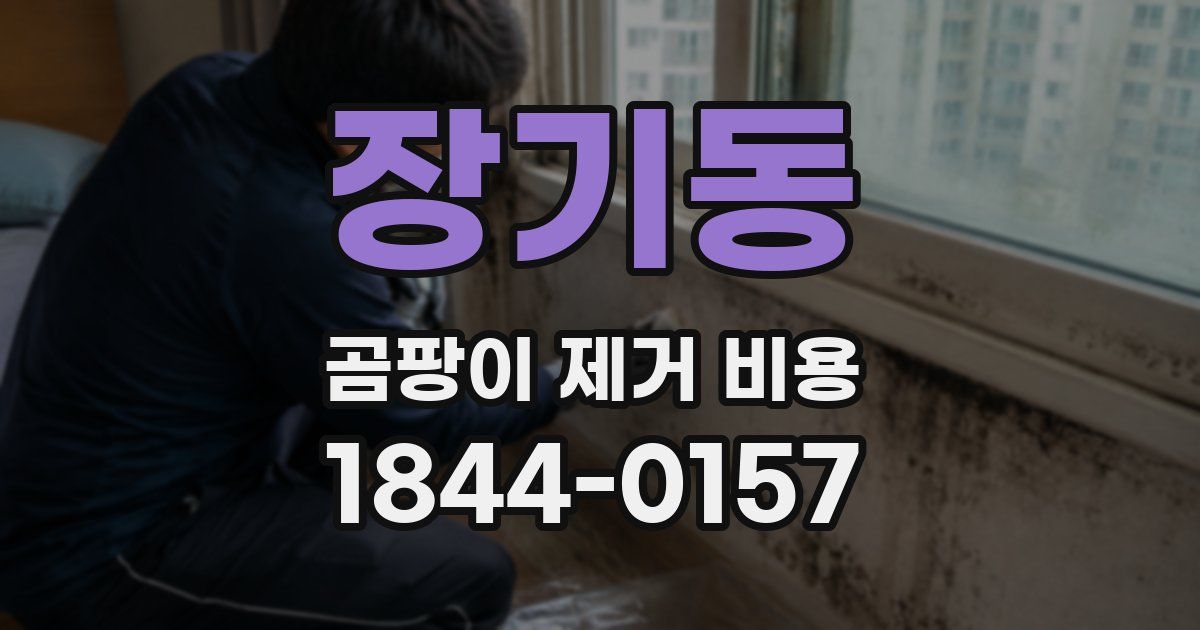 장기동 곰팡이 제거 비용