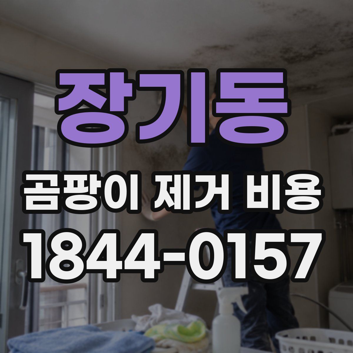 장기동 곰팡이 제거 비용