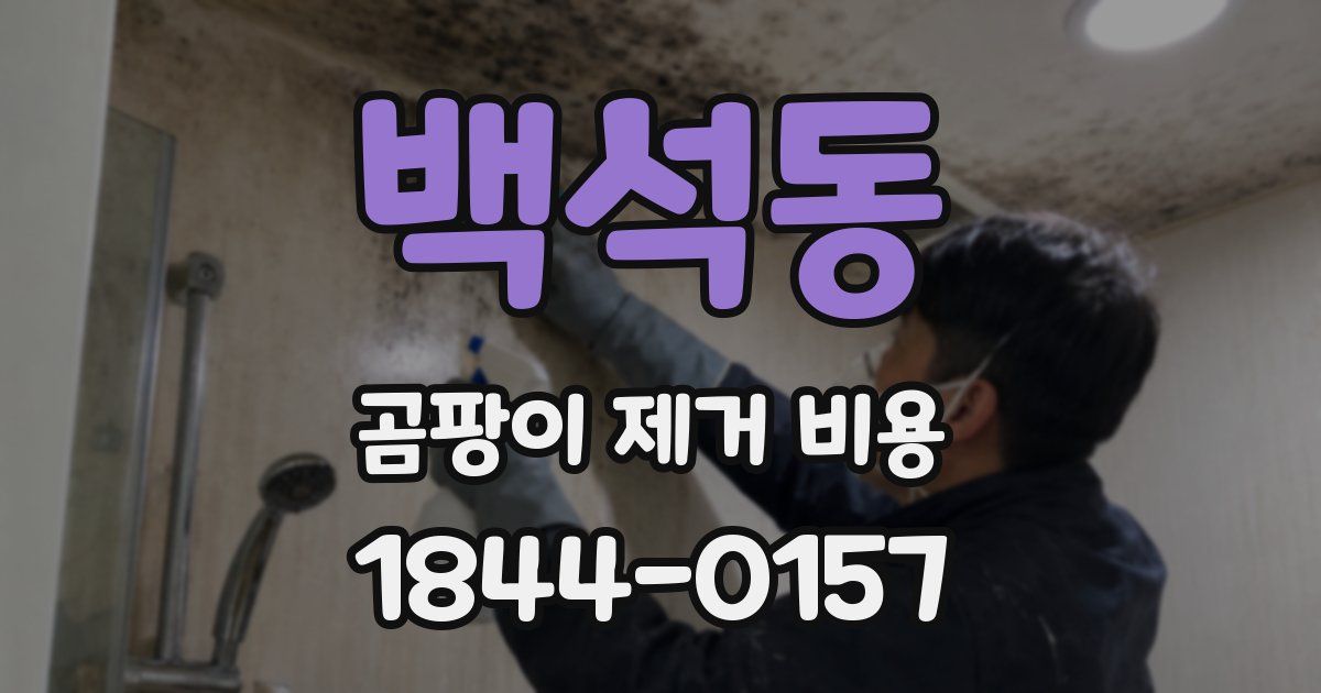 백석동 곰팡이 제거 비용