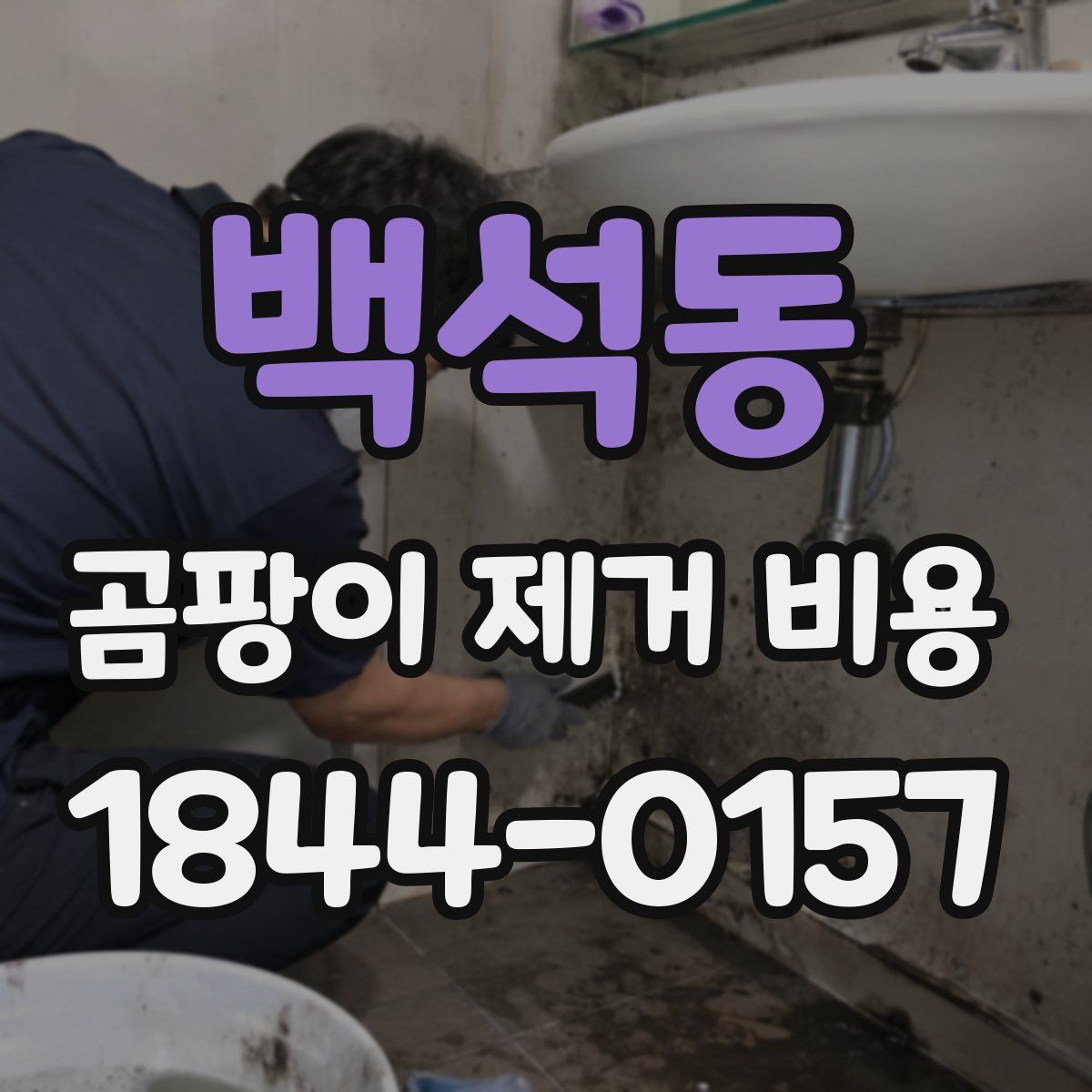 백석동 곰팡이 제거 비용