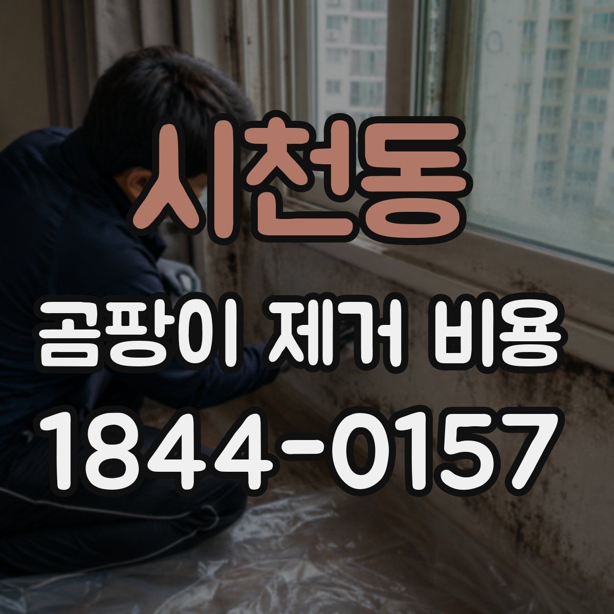 시천동 곰팡이 제거 비용