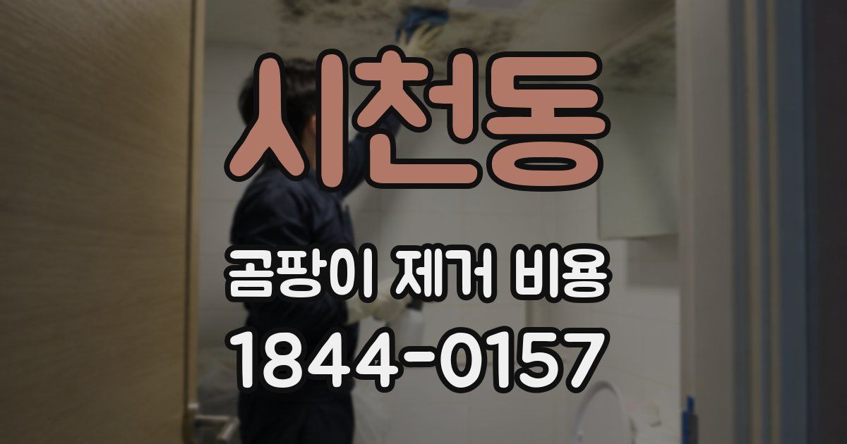 시천동 곰팡이 제거 비용