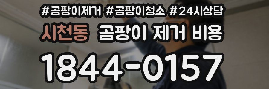 시천동 곰팡이 제거 비용