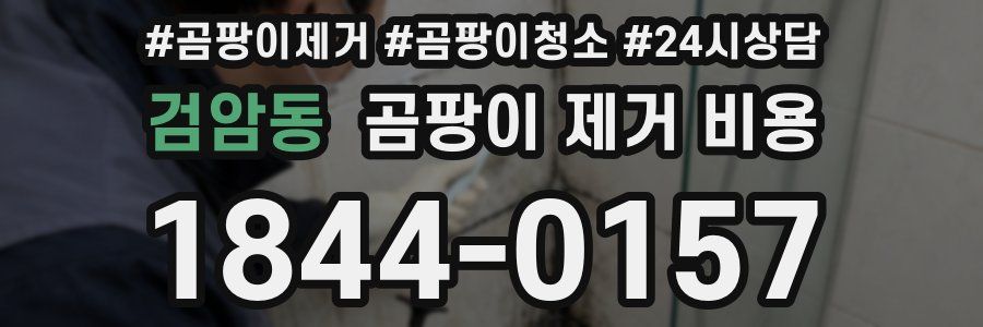 검암동 곰팡이 제거 비용