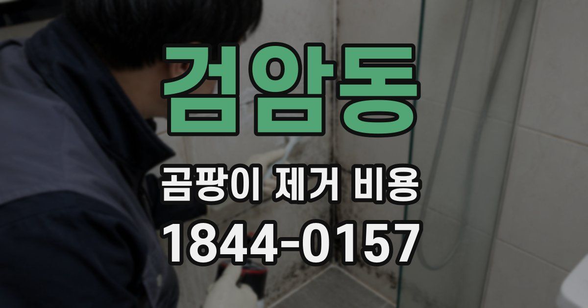 검암동 곰팡이 제거 비용