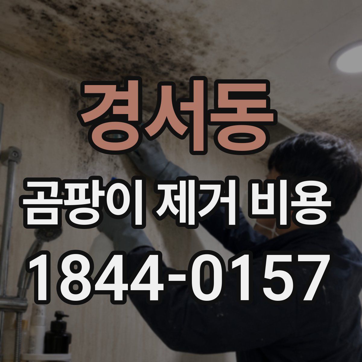 경서동 곰팡이 제거 비용